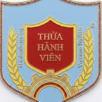 tư vấn thi hành án, xác minh điều kiện thi hành án